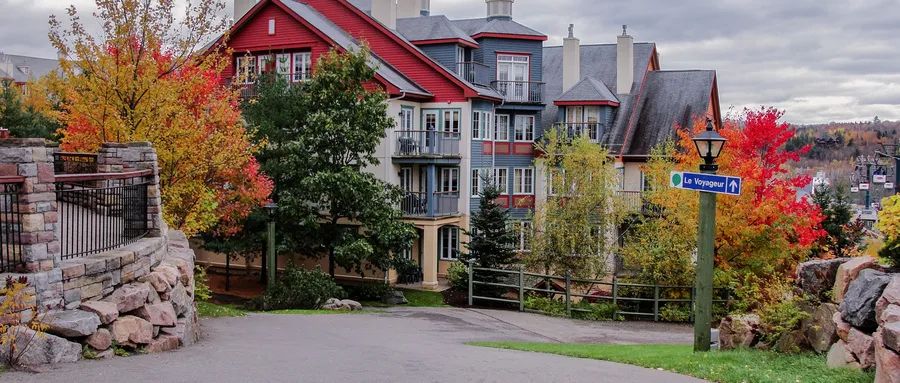 加拿大移民如何快速直达枫叶卡——SUV联邦创业移民