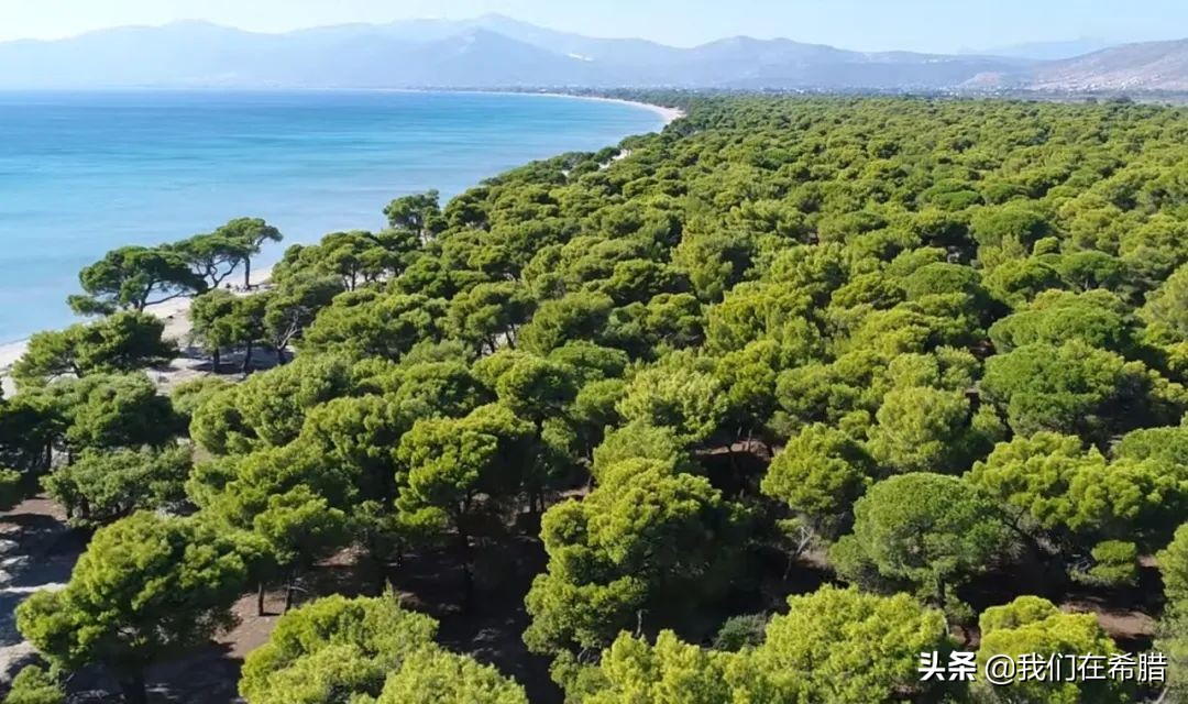 希腊人平均寿命,希腊人均寿命