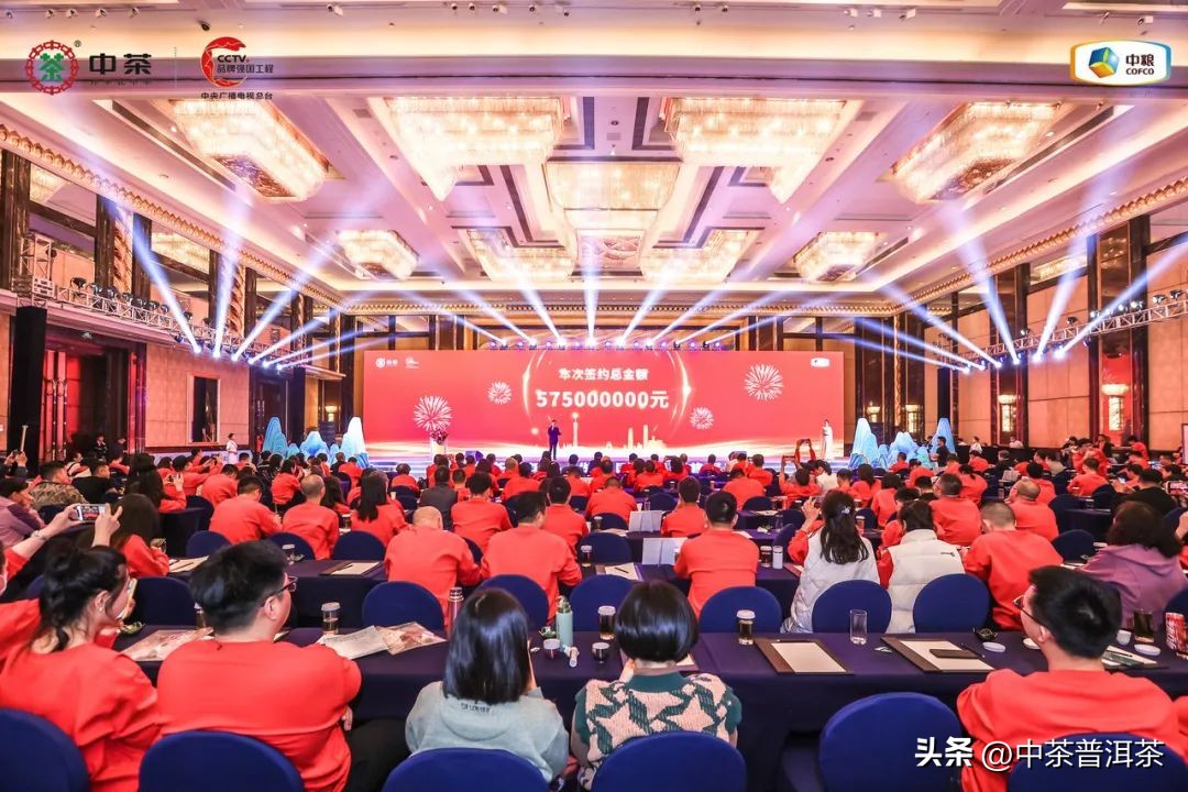 中茶普洱茶经销商信息大会,中茶2024年经销商大会