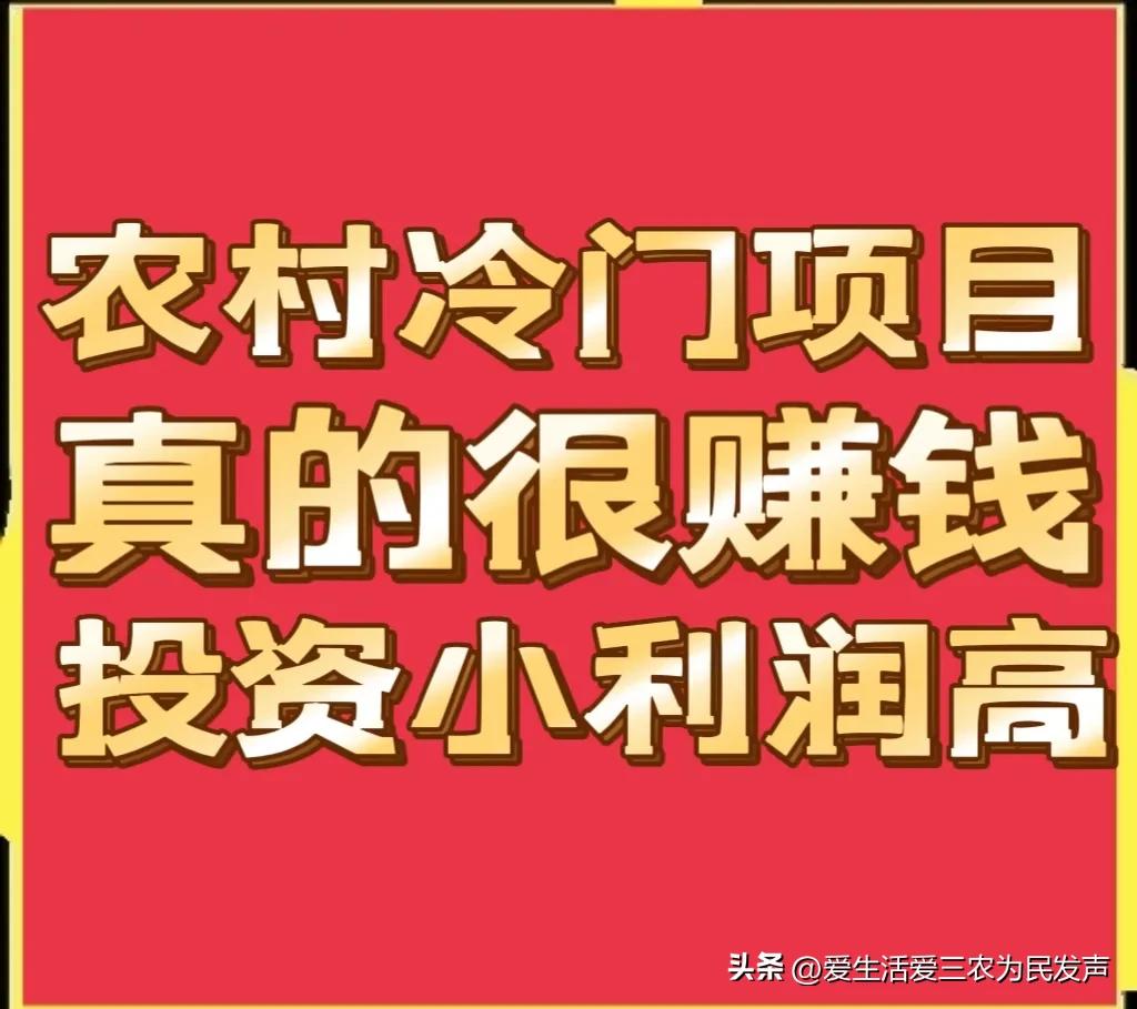 冷门的赚钱项目快速致富,想赚钱的朋友看过来