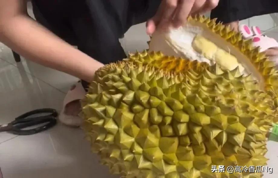 辛巴直播间卖榴莲完整视频,辛巴直播卖榴莲7斤