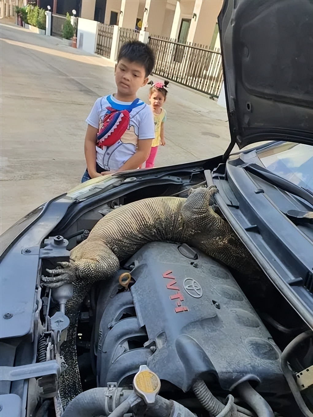 上海钓鱼佬钓起“五爪金龙”，差点牢底坐穿？金龙到底什么来头？