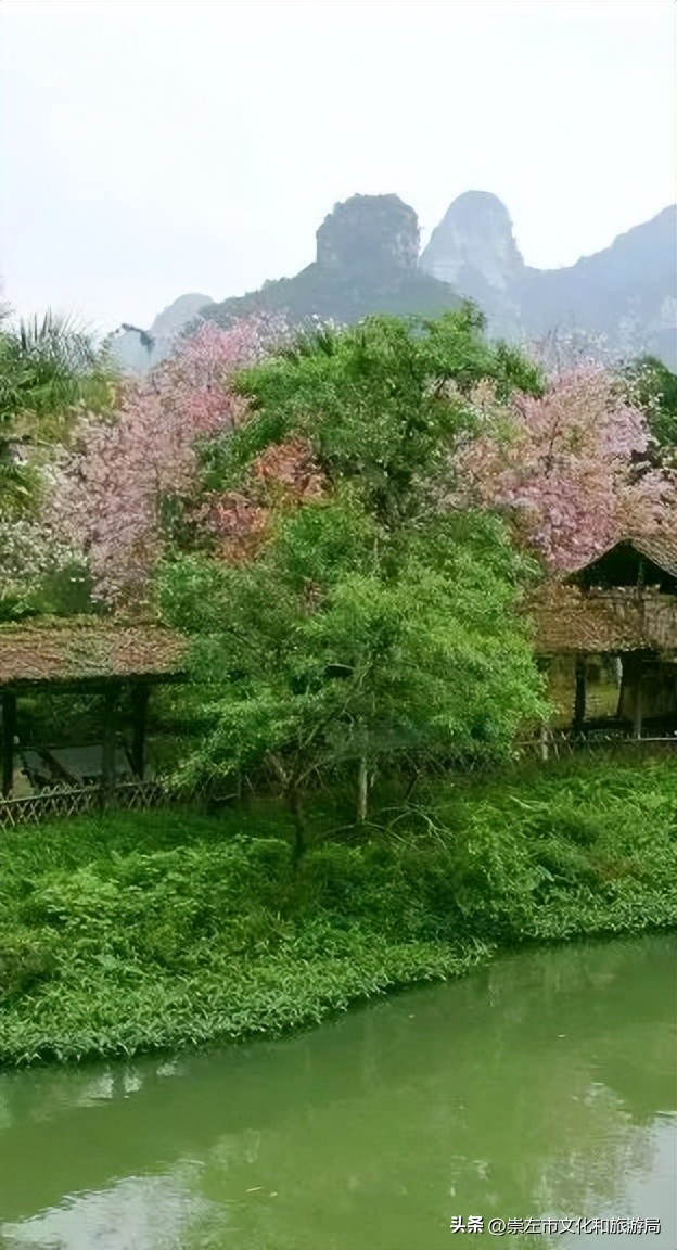 明仕田园风景区国庆节风景,广西明仕田园之旅