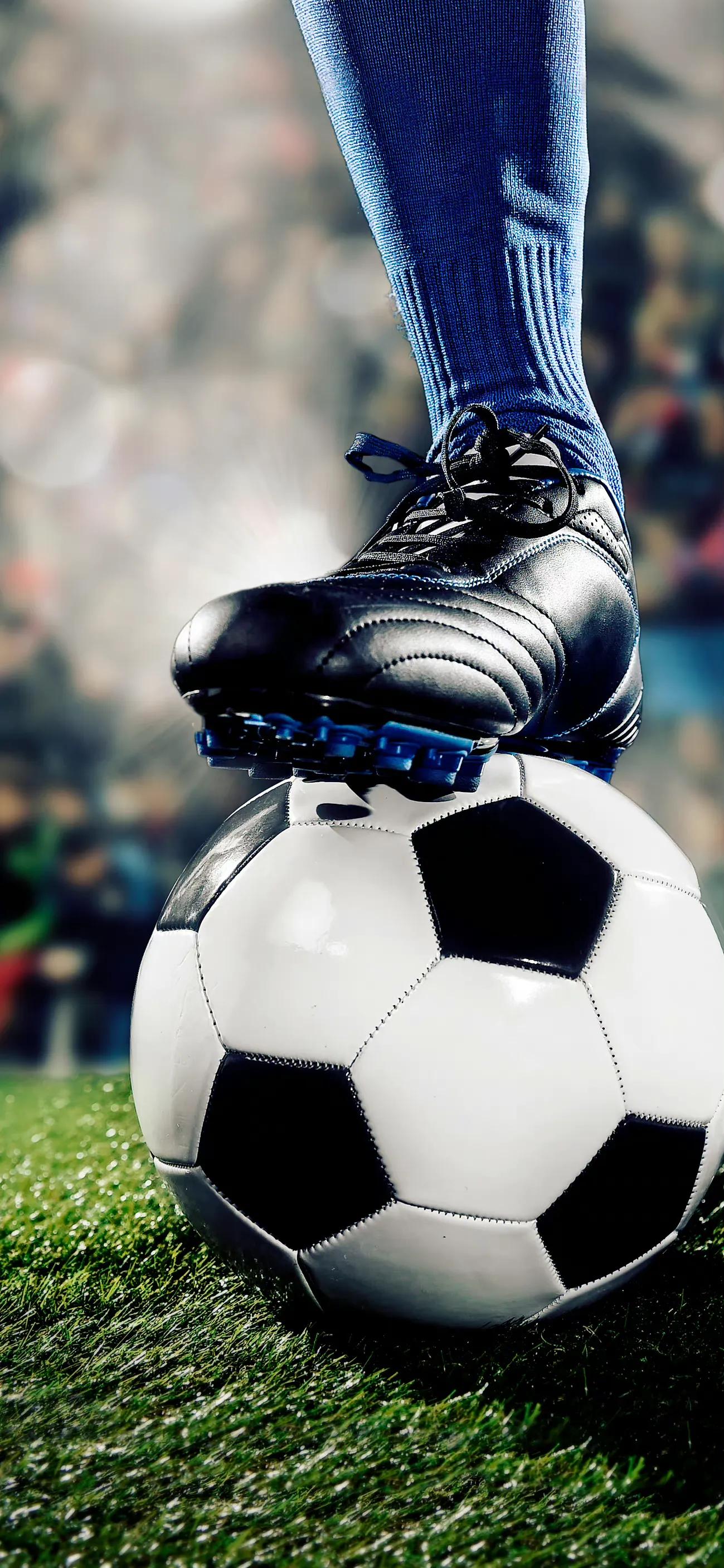 手机日落黄昏壁纸,手机壁纸日落动漫