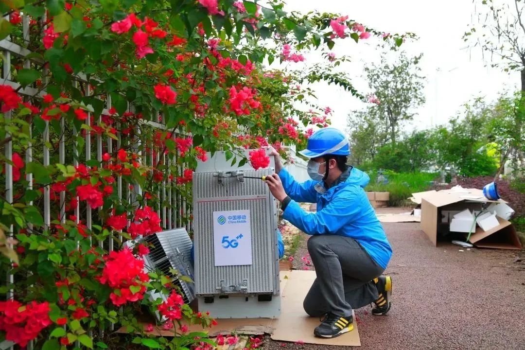 悬念揭晓在即,悬念揭晓视频