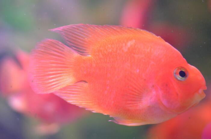 金鹰海洋世界常州万达,常州金鹰海洋世界怎么样好玩吗