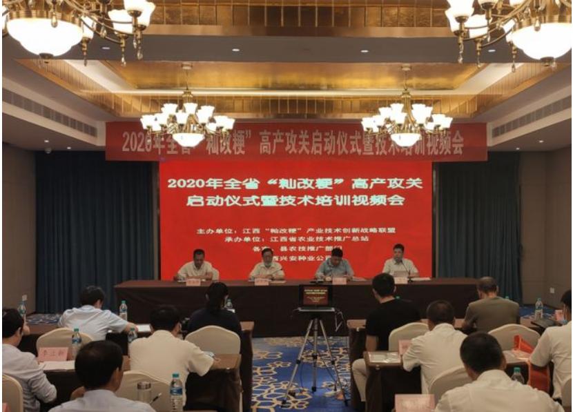 金色农华籼梗交新标杆、新升级——浙杭优220