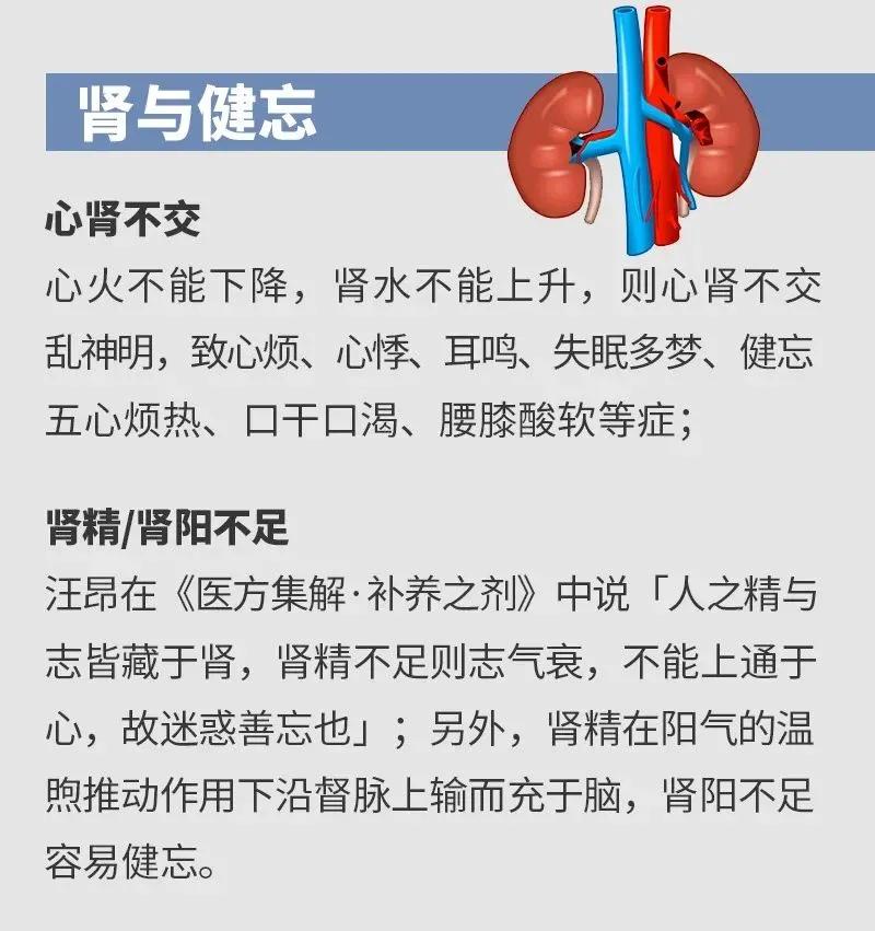 脑子不好用按哪个穴位,脑子笨理解能力差按哪个穴位