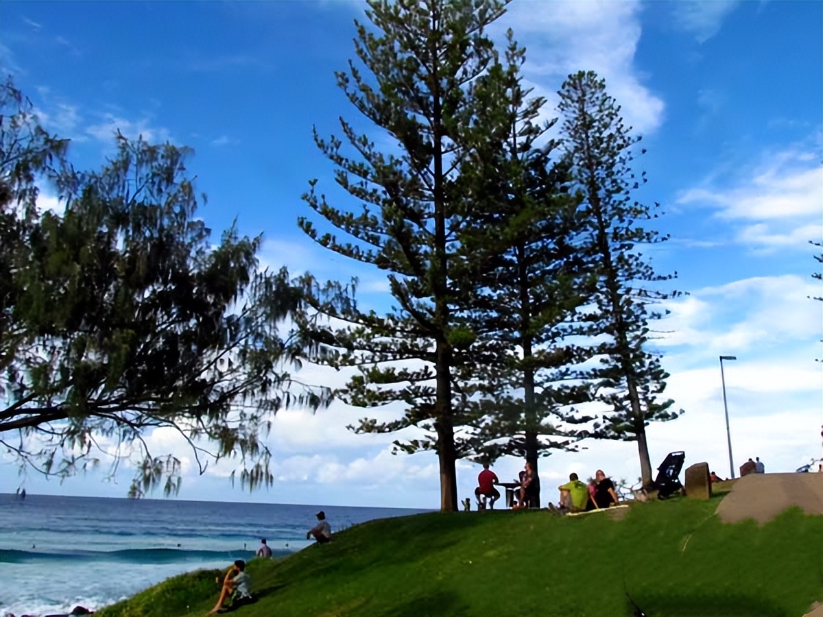 昆士兰洲纯玩自由行攻略,大洋洲除了澳大利亚哪里适合旅游