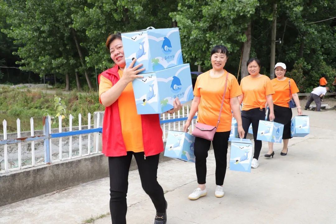 富德中支小海豚公益活动,富德人寿小海豚计划保险