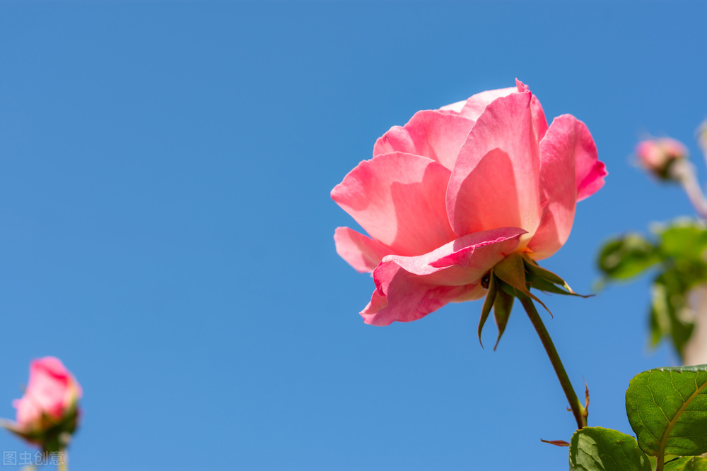 缓解焦虑的方式便是好好热爱生活,减少焦虑的最好的办法英语