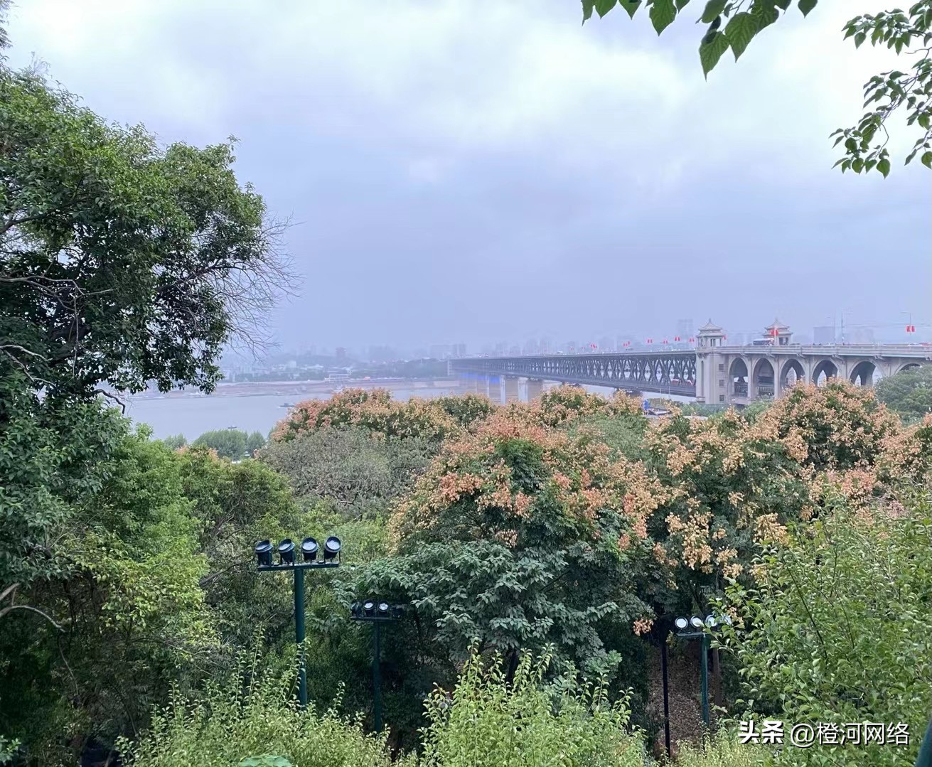 橙河网络：海外问卷调查项目可靠吗？怎么做的？