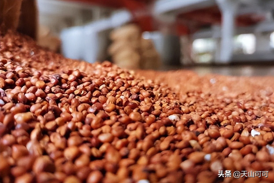 光瓶粮食酒哪个好喝,光瓶酒哪些牌子是纯粮酿造