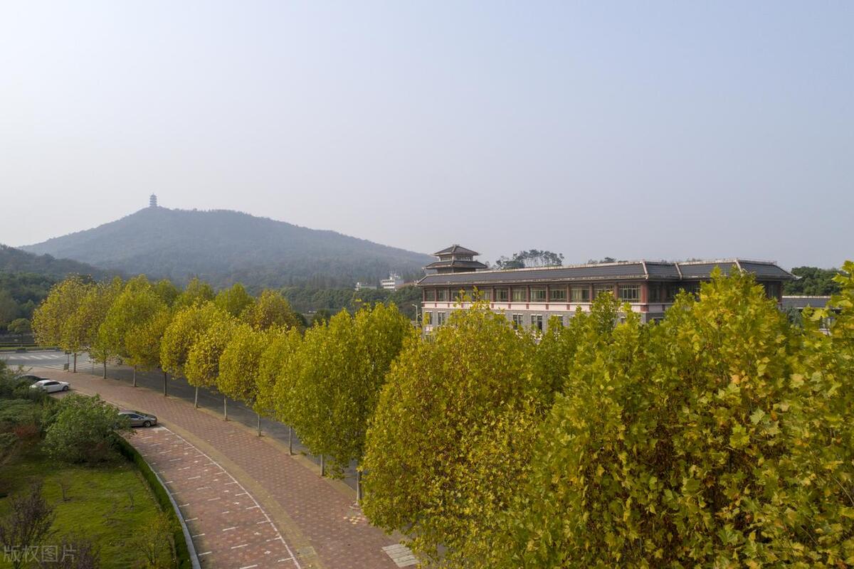 计算机科学与技术升硕方向,计算机科学与技术学校专业排名