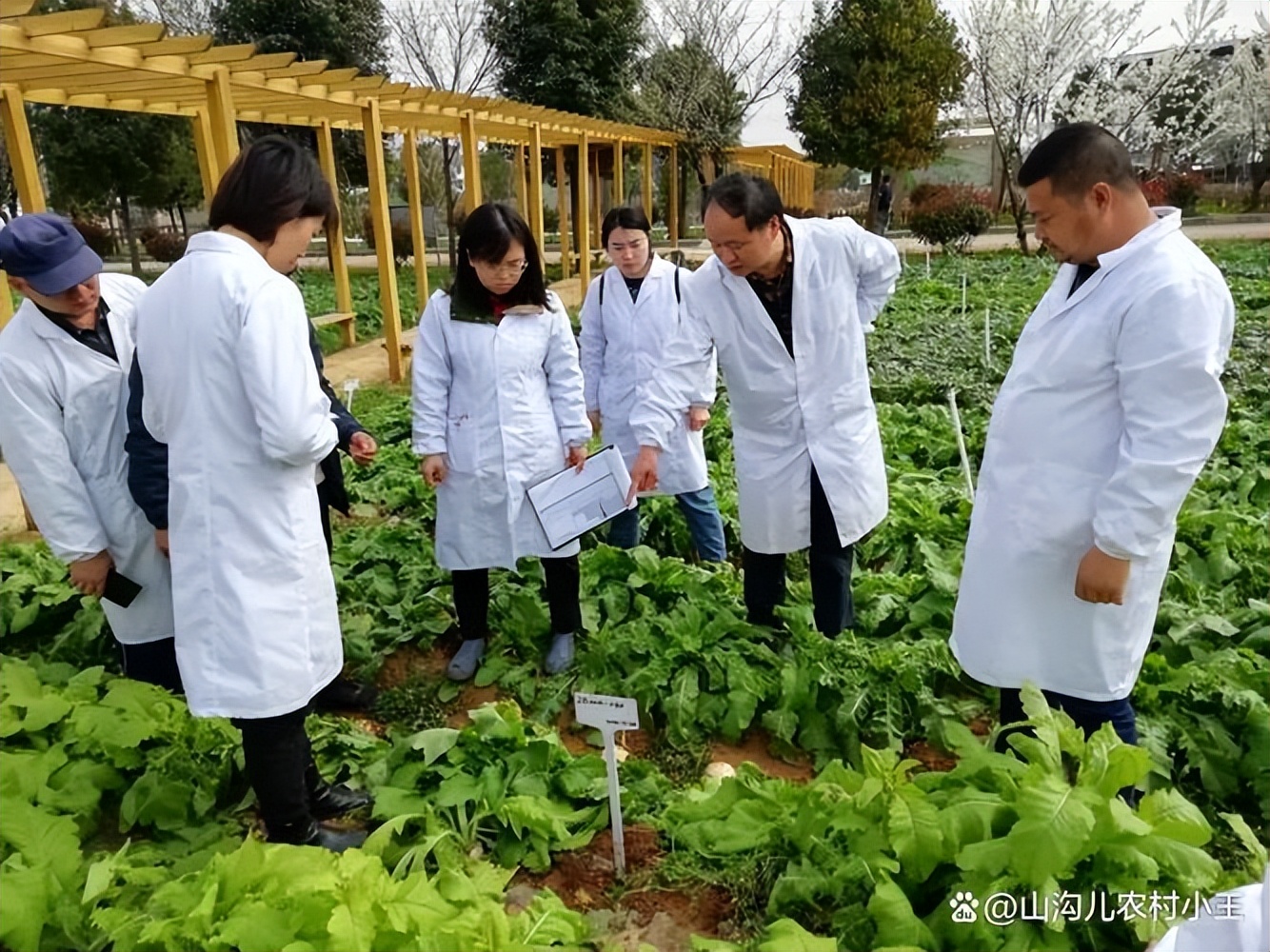 不懂农村的专家对农村的建议,专家给农民的十大建议
