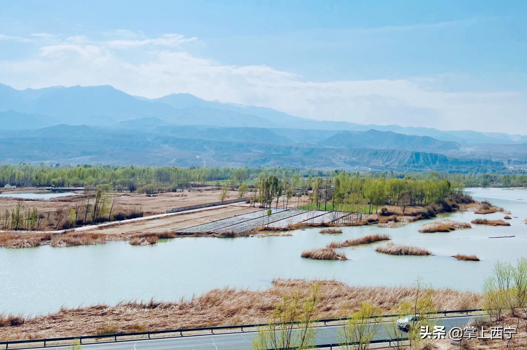 7月20号，神秘区域将举办神秘活动…