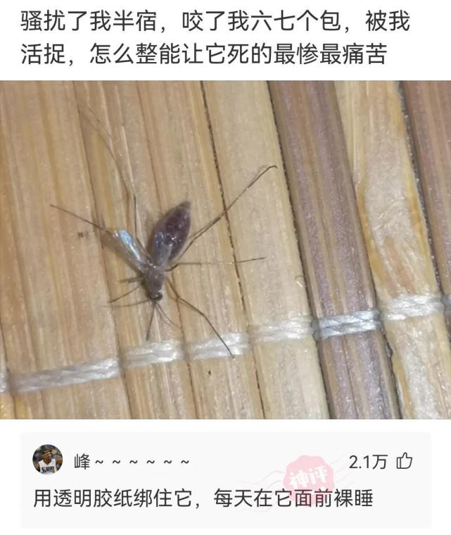 神回复视频怎么制作,朋友圈怎么神回复