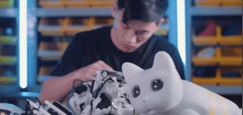 学生*党**的第一只机器猫，可以用来学代码