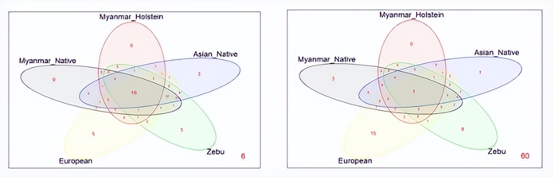 法国牛品种有哪些,全世界牛的种类和分布