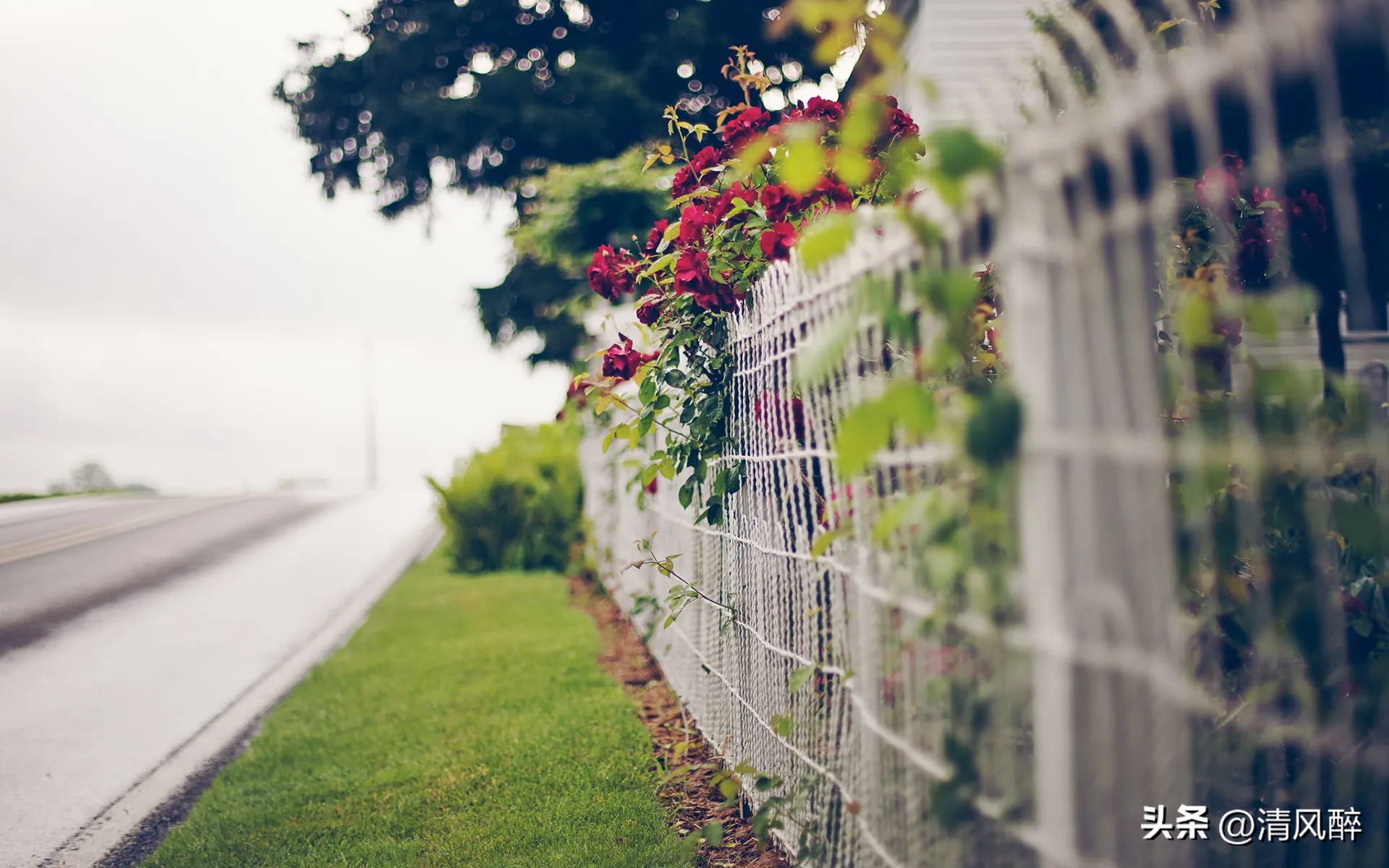 2023朋友圈火爆说说,发个说说2023的文案