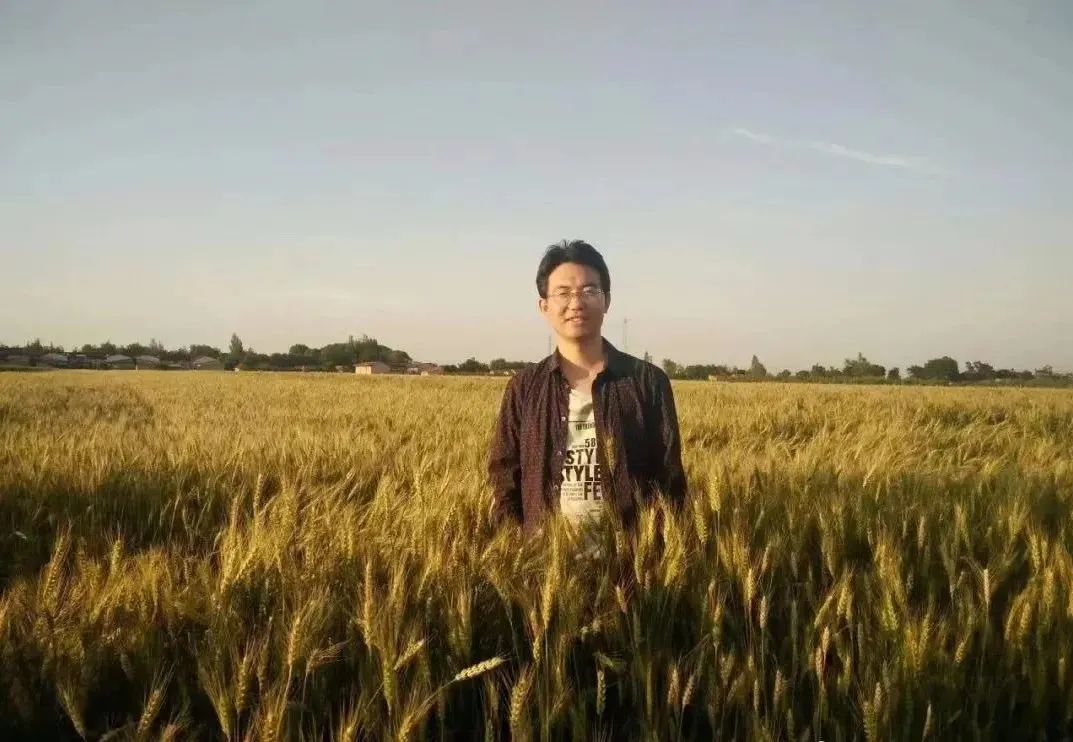 博士论文通过有多厉害,博士论文出问题