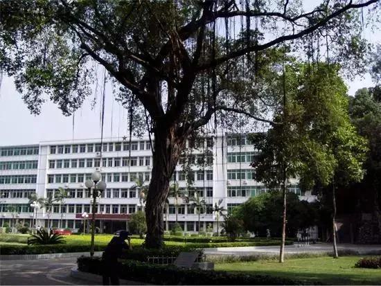 广东最大的兵工厂在哪里,广州兵工厂有哪些事迹