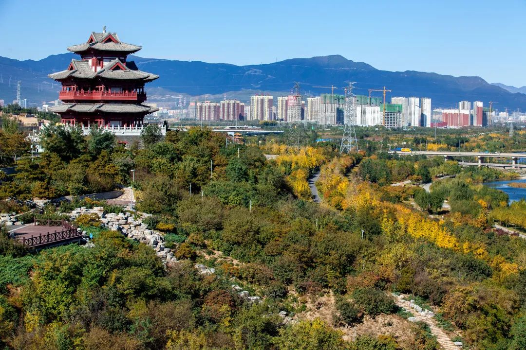 丰台的秋景大片，等您来定格！