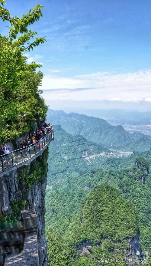 肝肠寸断撕心裂肺的视频,撕心裂肺的新闻事件