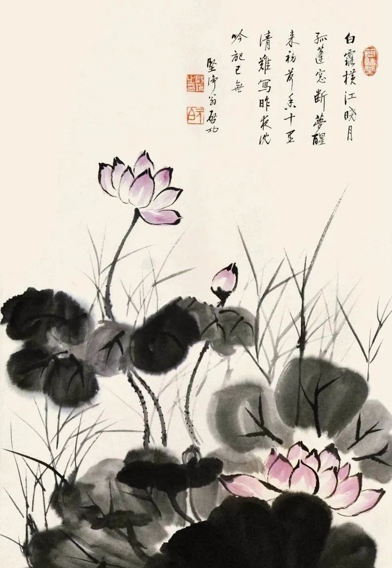 启功荷花作品欣赏,启功《荷上花帖》