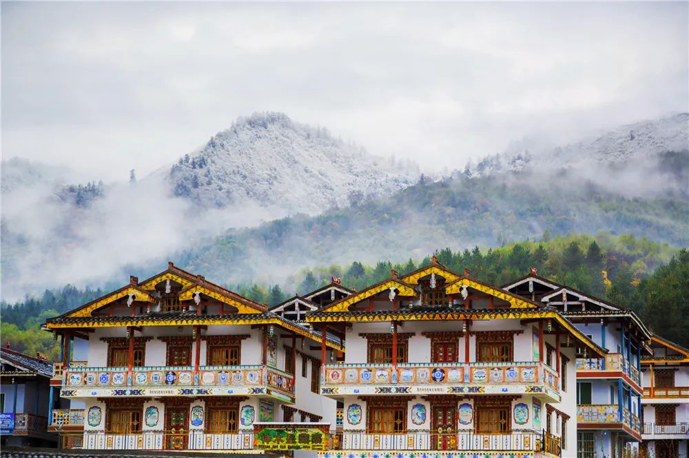 非遗奇遇记端午赛龙舟,端午节赛龙舟比较有特色文艺活动