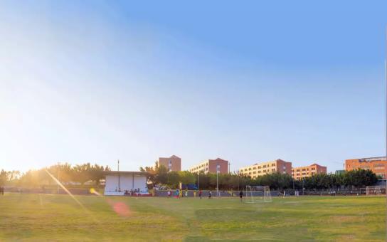 广州大学城推荐大学,广州大学城风景最好的学校