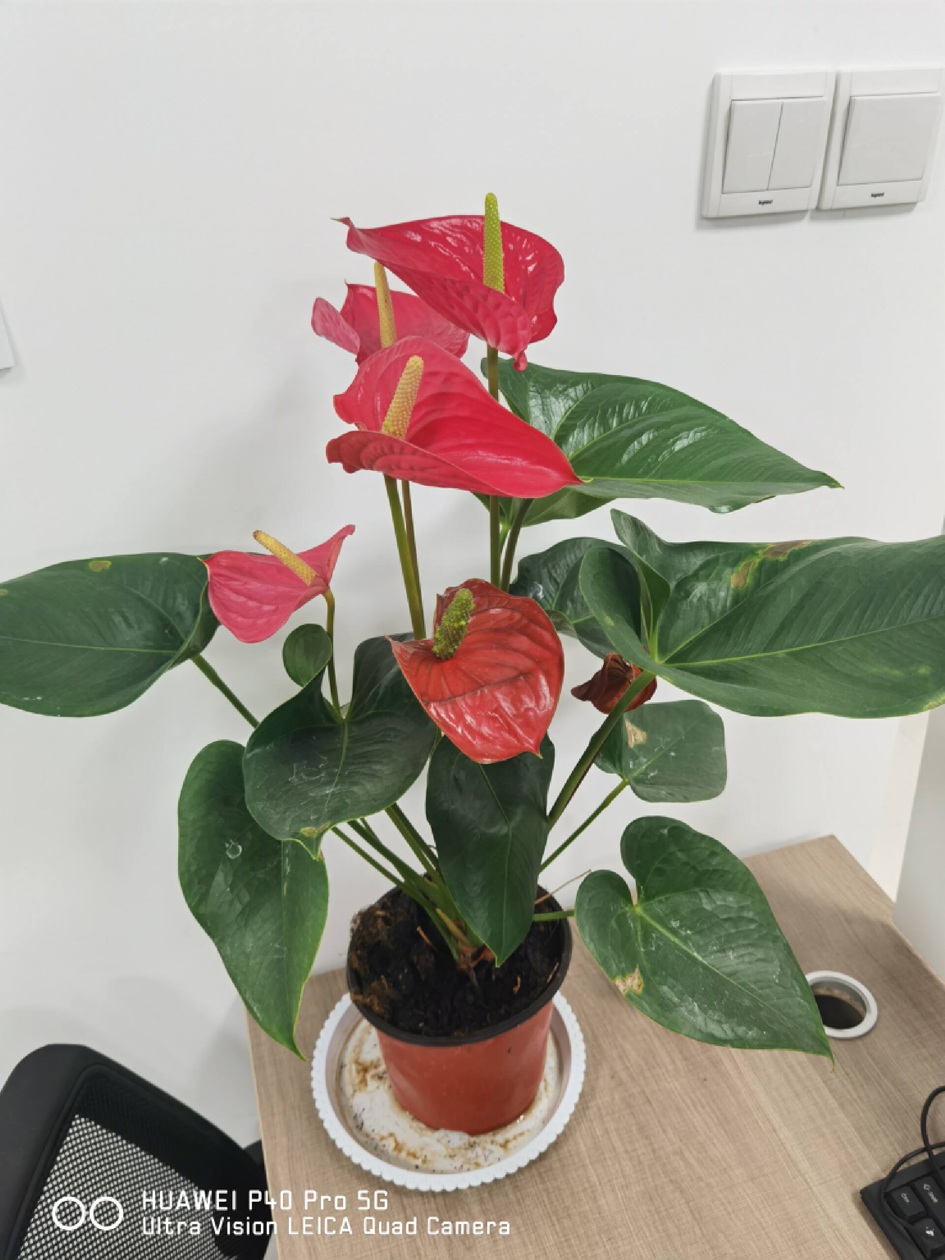 小米高端旗舰小米10上手体验,小米10至尊纪念版小白测评定制版