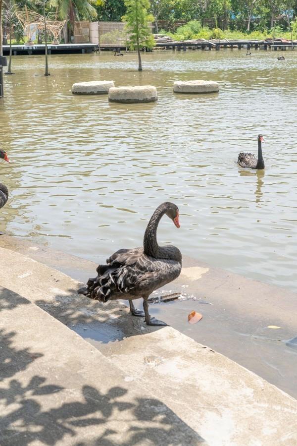 湾区光影魅力,南沙湾区超美风景线