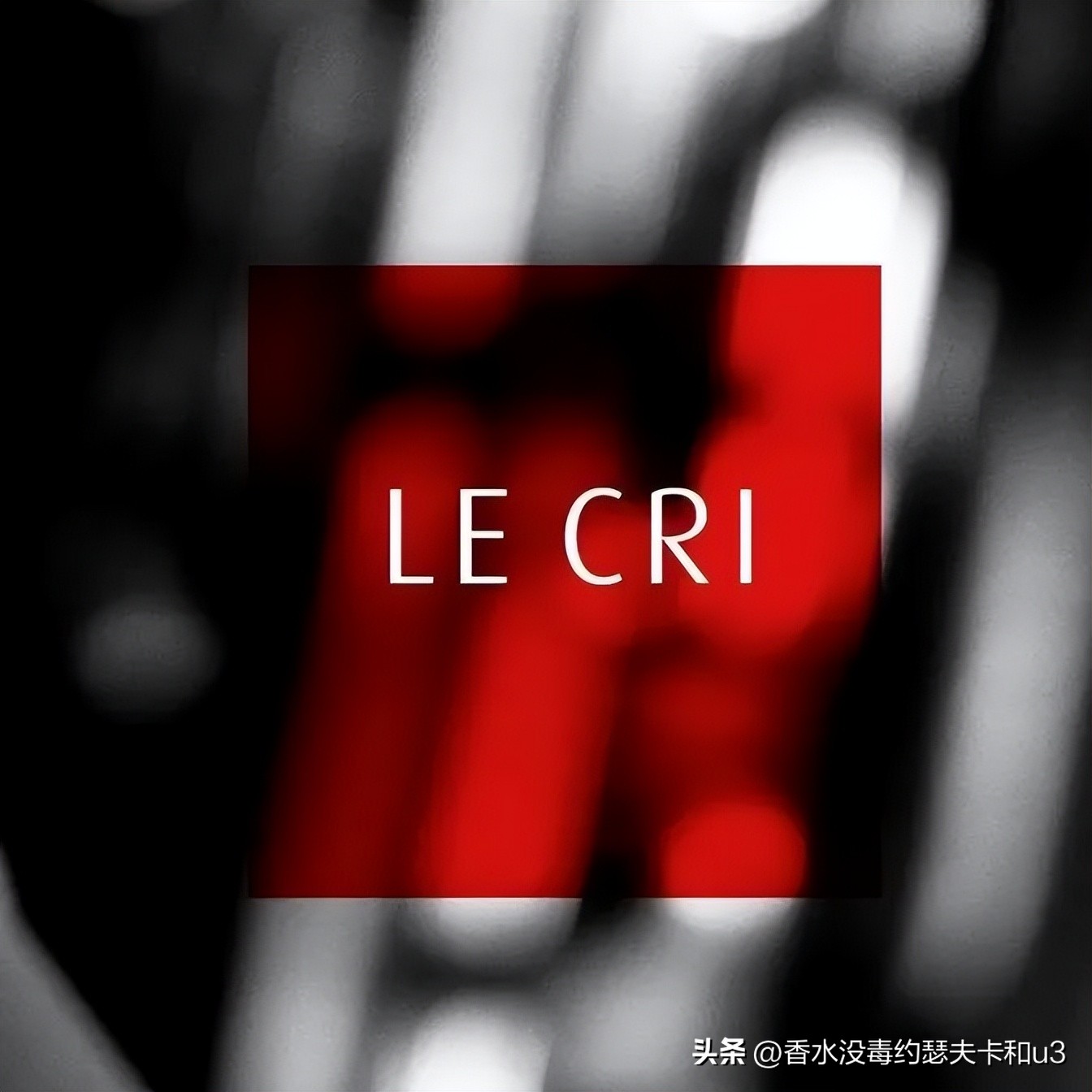 三大网红香水,十大网红香水值得入手吗