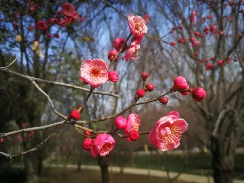 用心发现生活中的美景,用心发现美生活中处处是风景