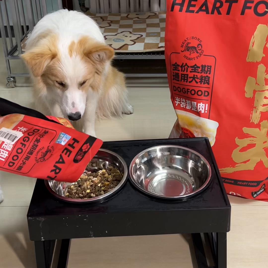 幼犬一吃饭很激动怎么训练,吃饭特别快控制不住有心理问题吗