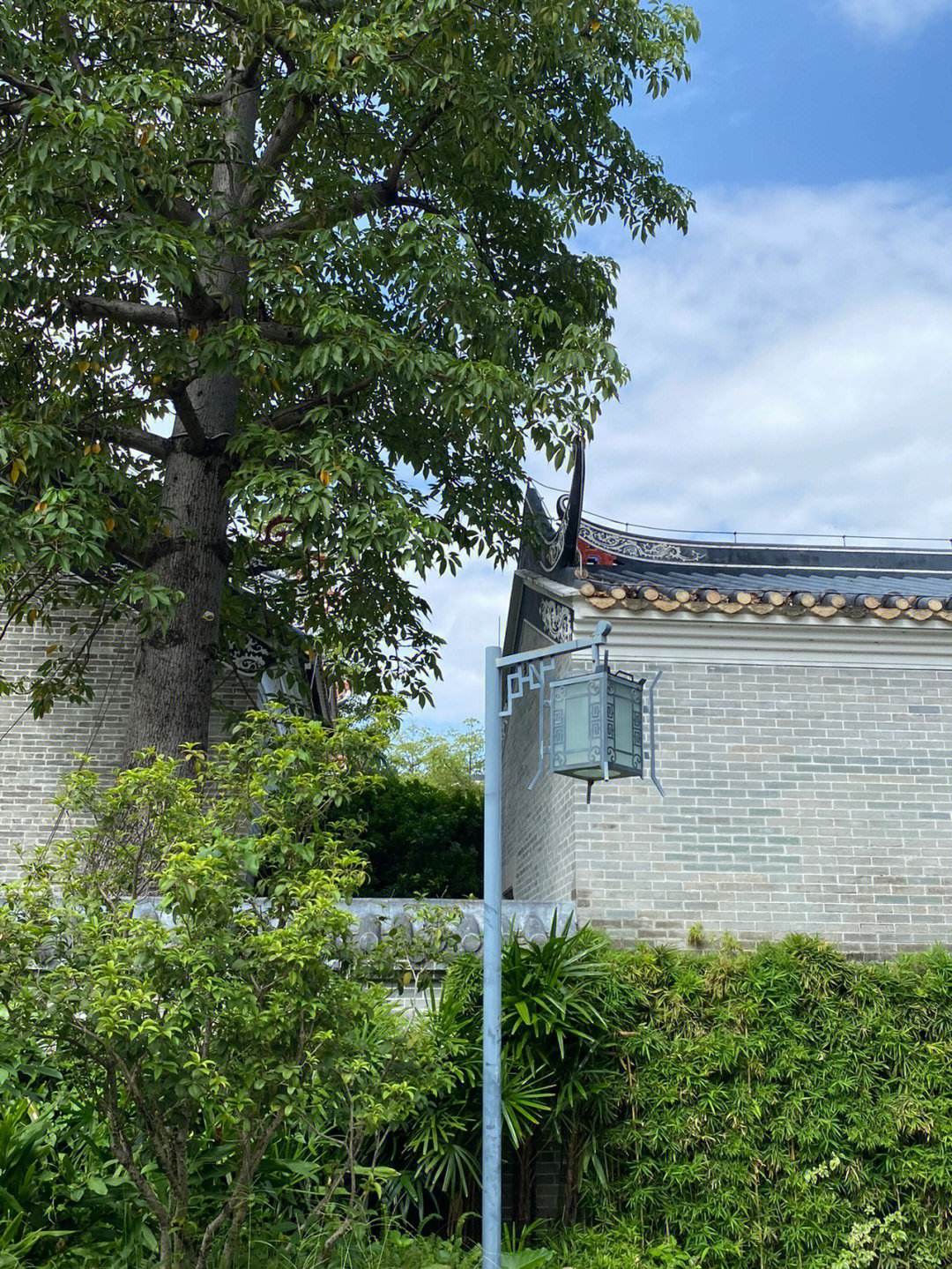 初探简介,初探沉玉谷