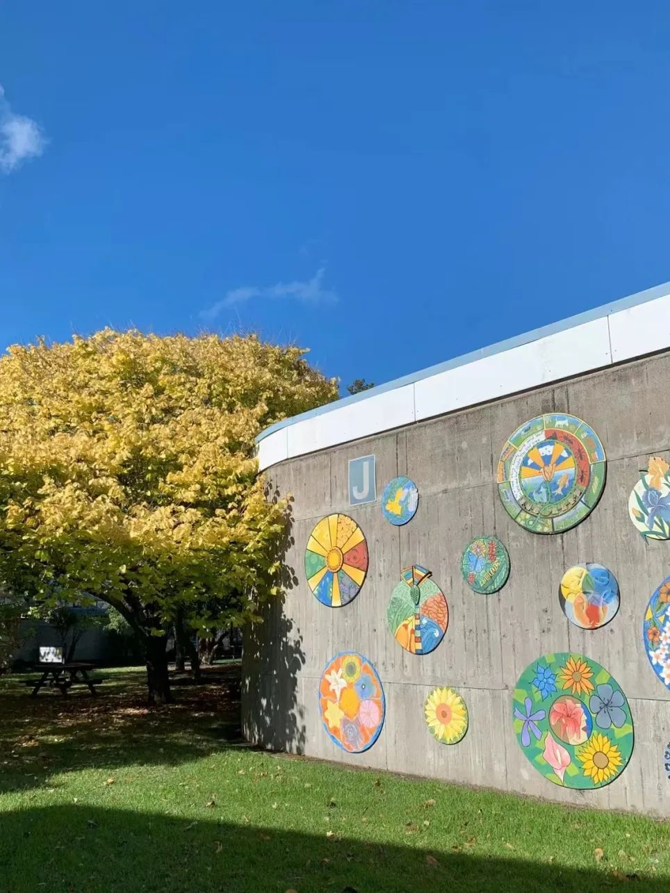 40宀佷互涓婄暀瀛︽柊瑗垮叞鎴愬姛,39宀佸幓鏂拌タ鍏扮暀瀛﹁繕鏈夋満浼氬悧