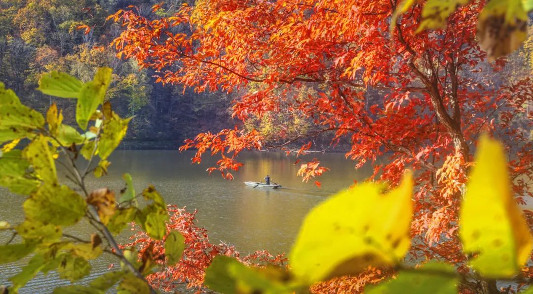 松花江风景美景视频,松花江最好看的景色