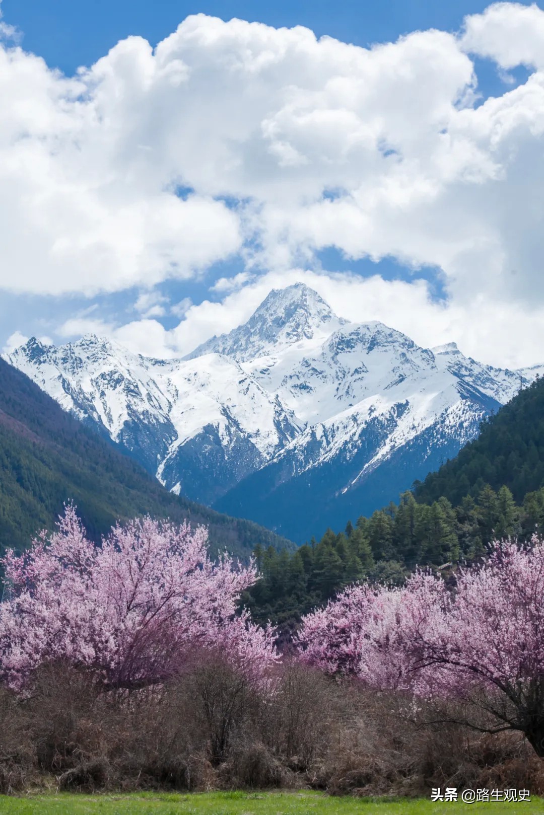 藏族人起源,藏族人的起源神话