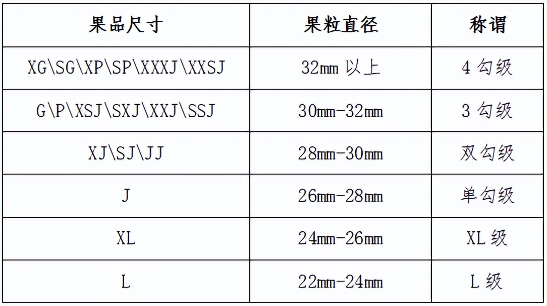 国内种的樱桃为啥不如车厘子好吃,车厘子大樱桃喜欢吃就自己种一棵