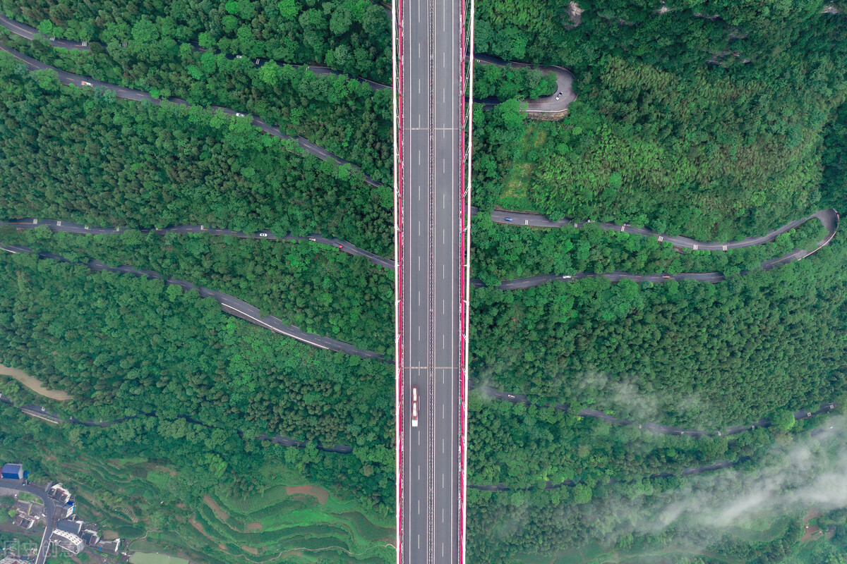 有多少个省禁售槟榔,槟榔是全面禁售了吗