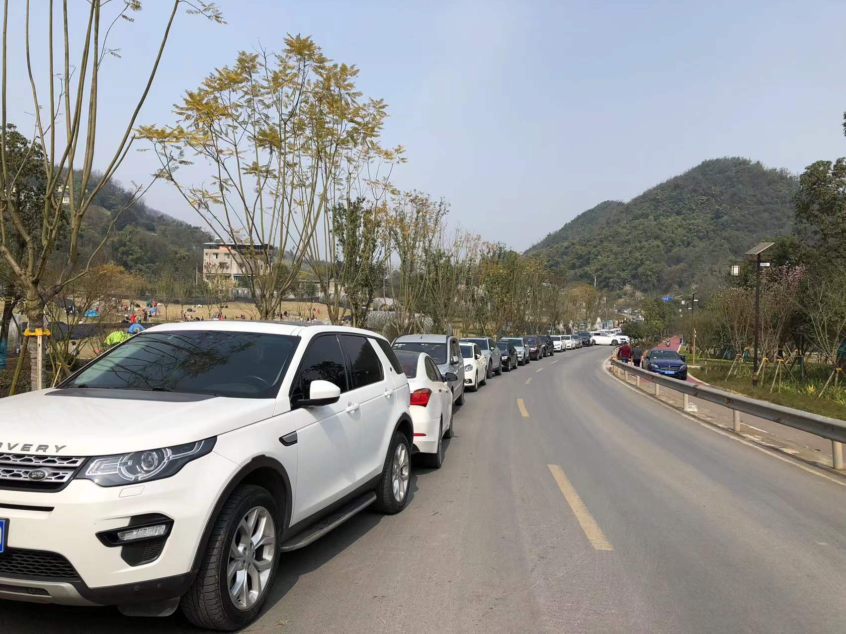 春暖花开我们一起去踏青,春暖花开我们共赏樱花