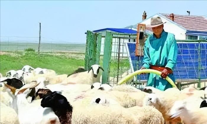 风力发电被喻为垃圾电,为什么国家还大力推广风电呢?