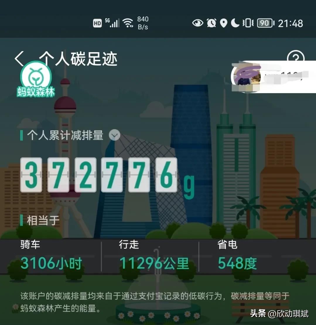 支付宝蚂蚁森林步数在哪设置,支付宝蚂蚁森林