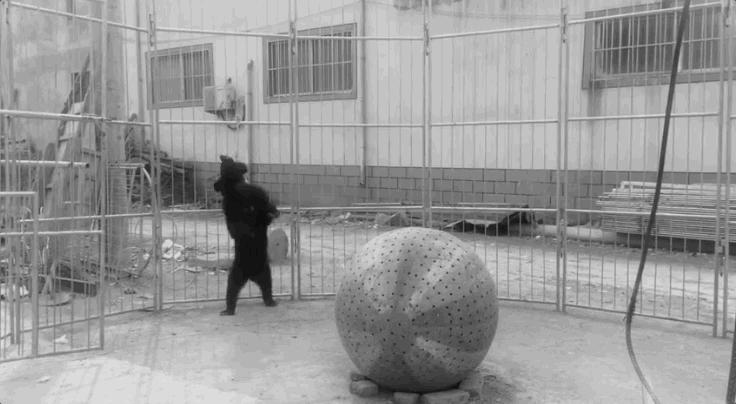 全网最近大事件,最大丑闻案件