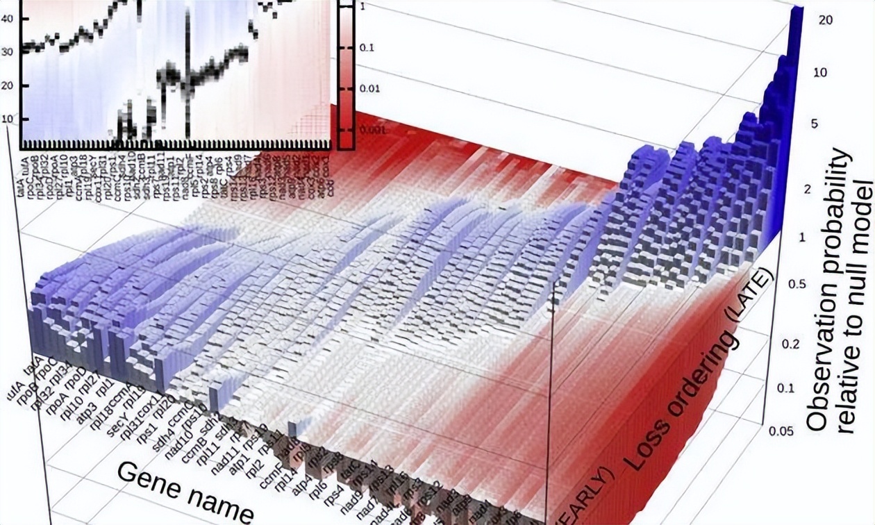 张掖肉牛线粒体DNAD-loop区研究的发展方向和潜在应用价值