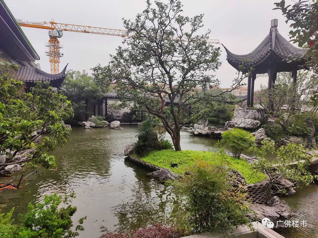 灯湖北延：贴地飞行、佛系养生、烂尾重组？投资客都看好这里？