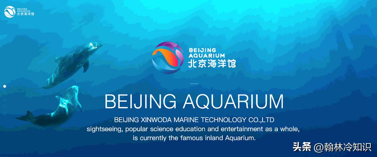 北京情人节有什么好玩的活动,不一样的情人节是怎么过的