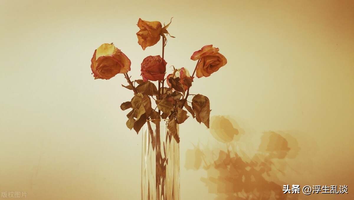 开心小众又高级的个性签名,个性签名高级小众有生活气息